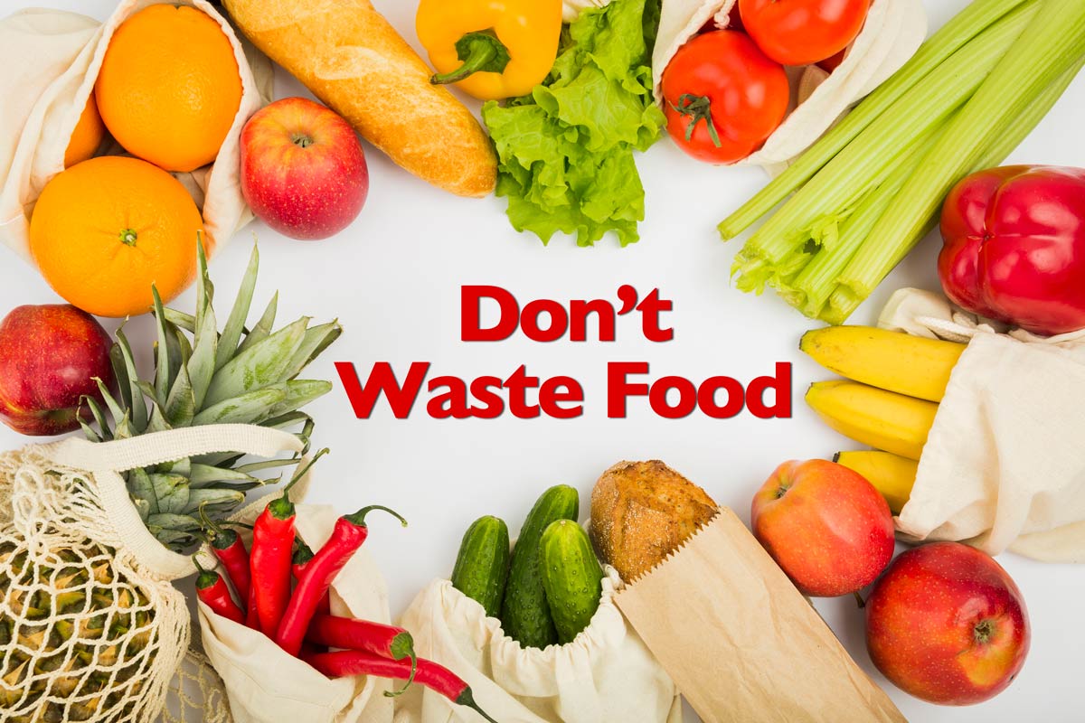 don't waste food essay