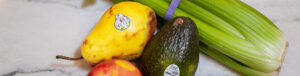 Fruits-and vegetabels-Food-Waste-Recycling-ej-harrison