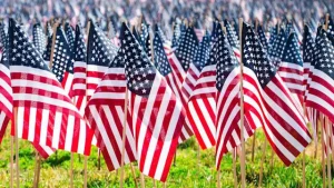 American-Flags-in-a-field-for-memorial-day-ej-harrison-trash-hauler