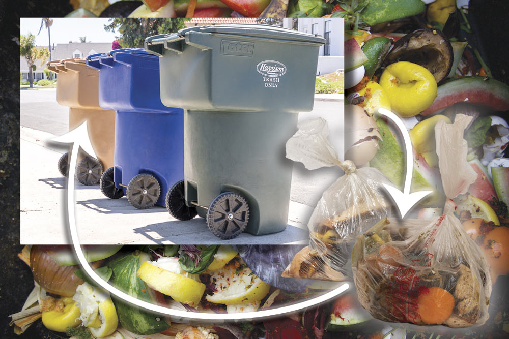 Food waste recycling graphic july 2022