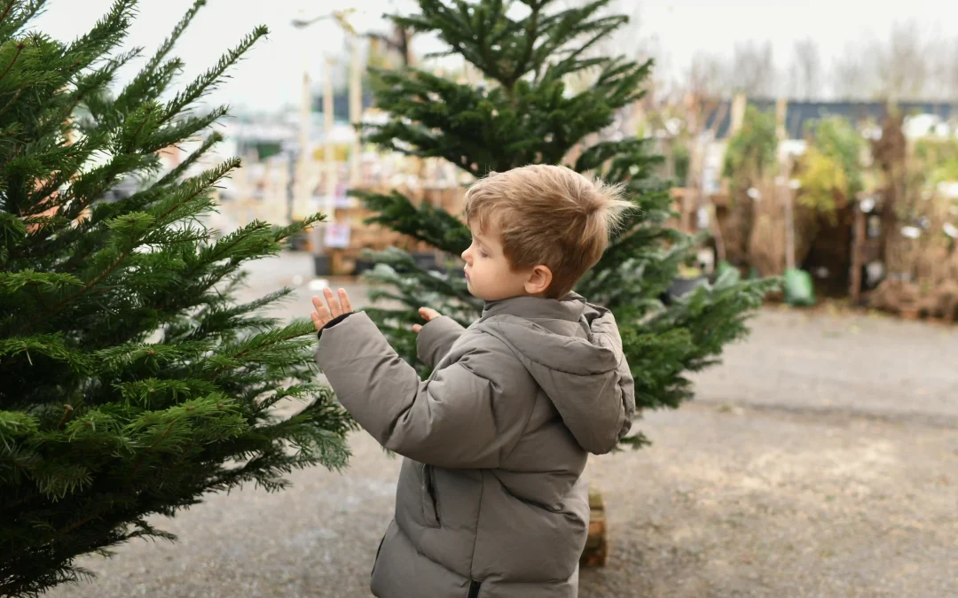 Boy-Choosing-Christmas-Tree-Ej-Harrison-Industries-Trash-Hauler-