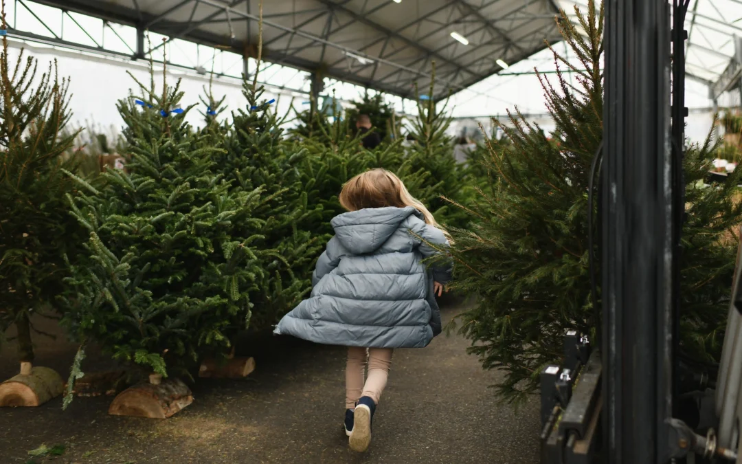 Girl-Choosing-Christmas-Tree-Ej-Harrison-Industries-Trash-Hauler-