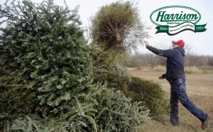 EJ-Harrison-Industries-Christmas-tree-recycling-2023-logo