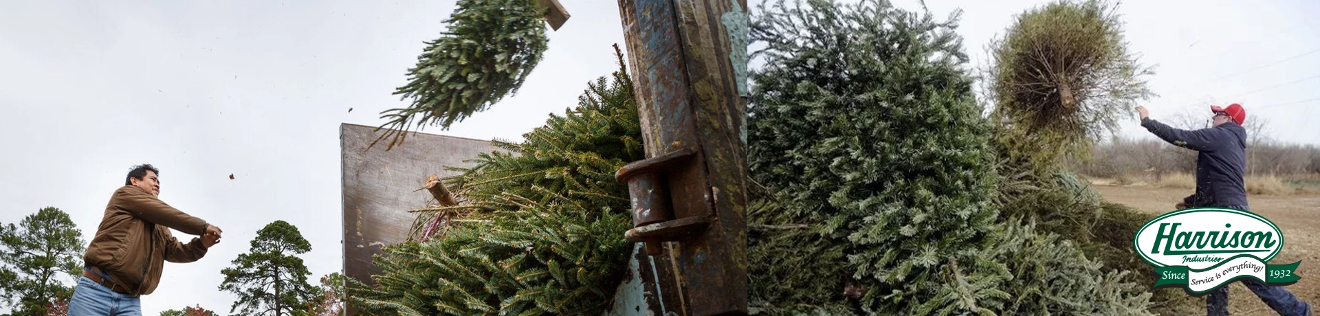 EJ-Harrison-Industries-Christmas-tree-recycling-2023-web-banner.