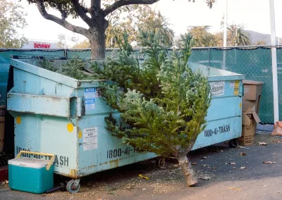 Christmas-Tree-by-recycling-bin-ej-harrison-roll-off