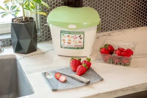 Food-waste-recycling-pail-by-cut-strawberries-ej-harrison-inc