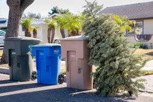 EJ-Harrison-Holiday-Trash-Schedule-2025-Christmas-Tree-Recycling