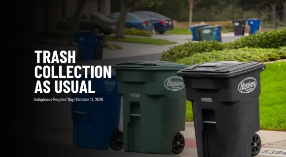 Three residential trash, recycling and organics carts placed curbside for collection.